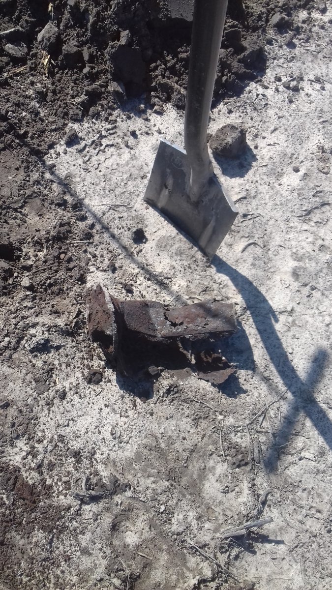 20180409_124853.jpg
