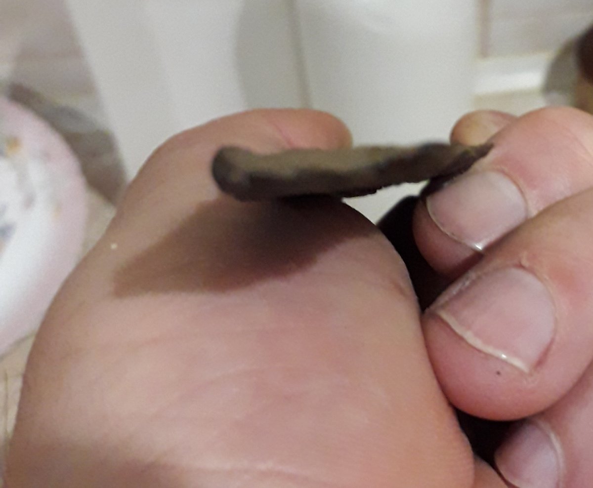 20180603_201210.jpg