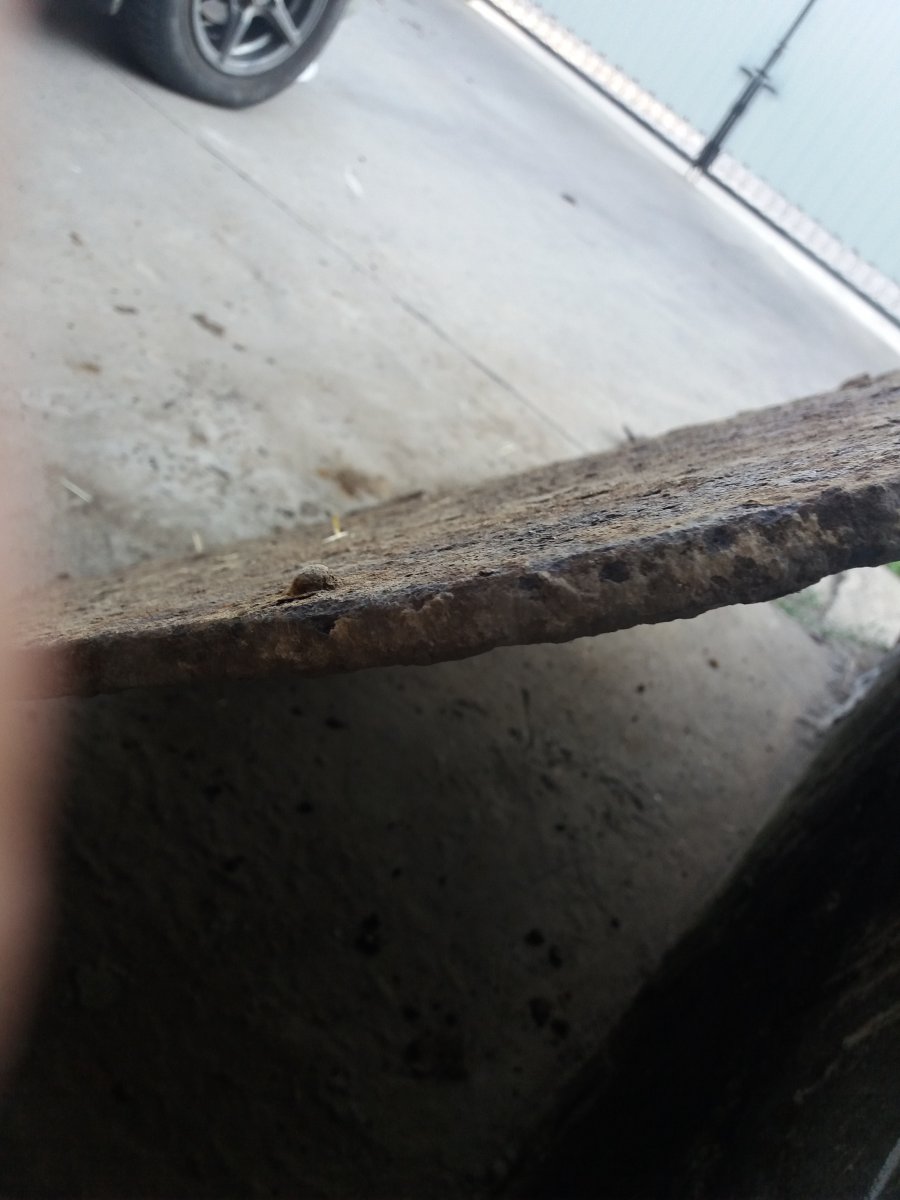 20180723_064352.jpg