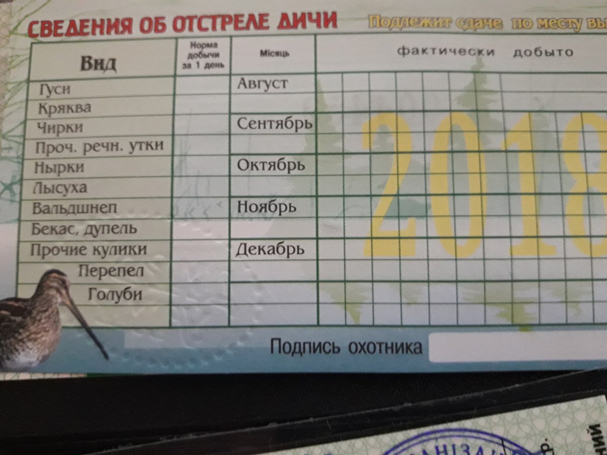 20180727_153930.jpg