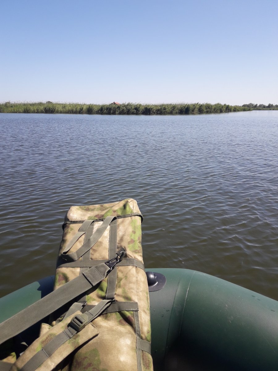 20180811_134831.jpg