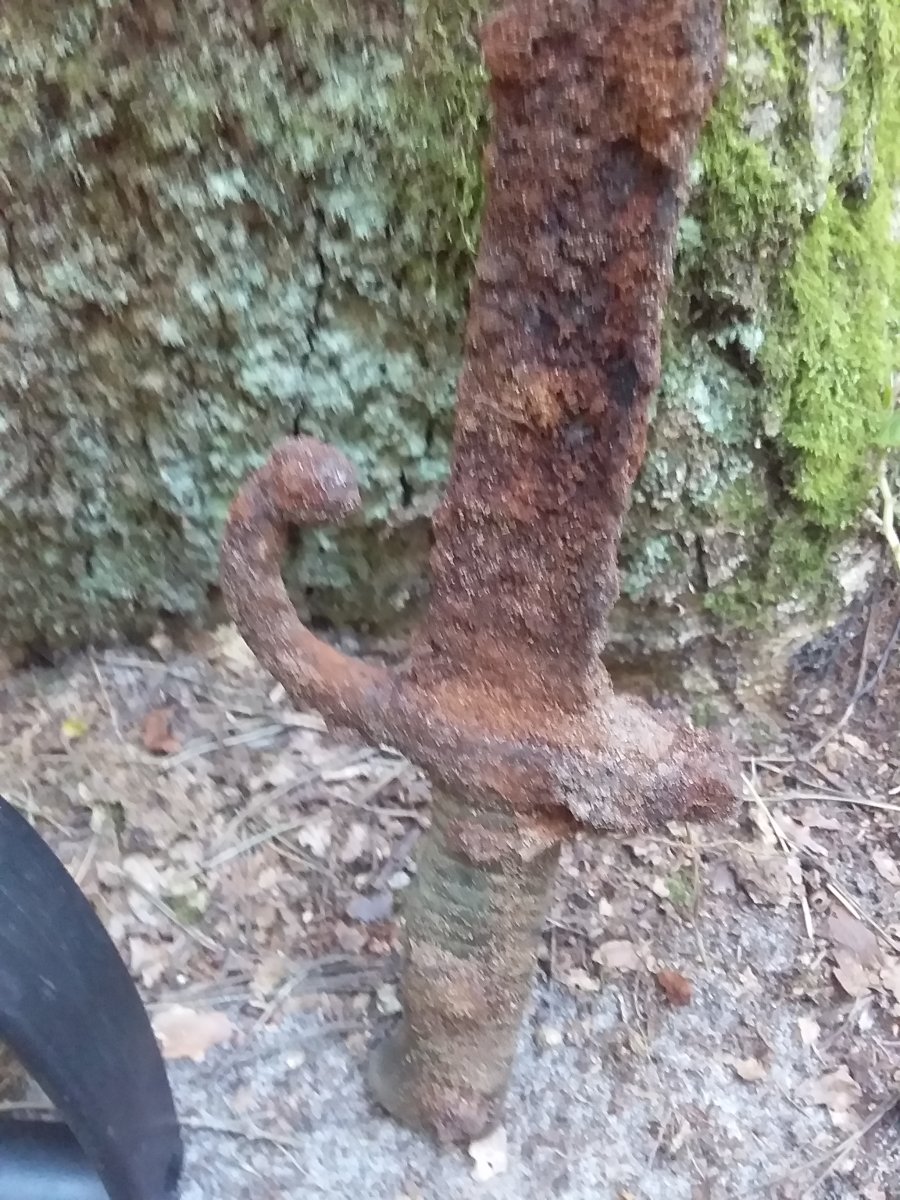 20180903_121804.jpg