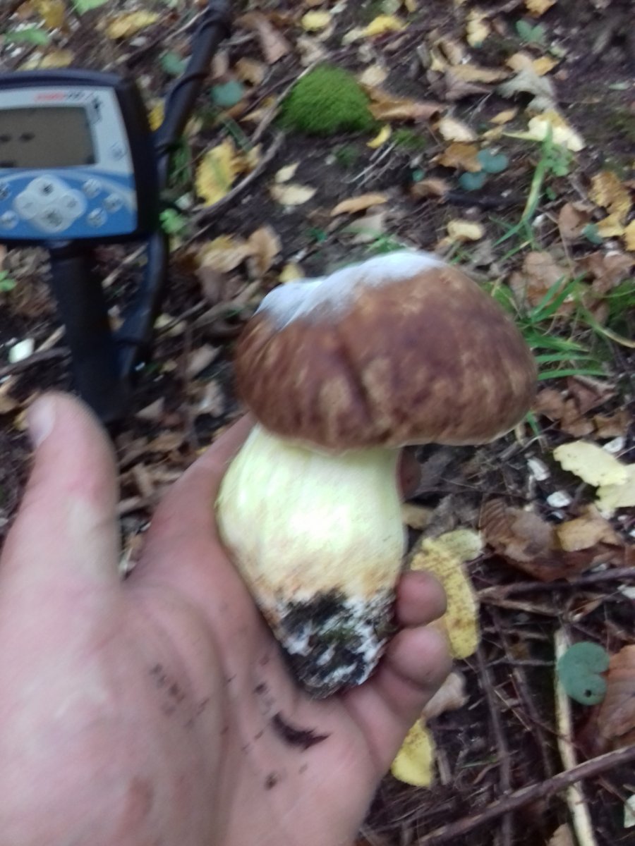 20180909_120547.jpg