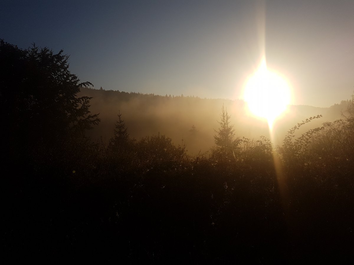 20180911_073703.jpg