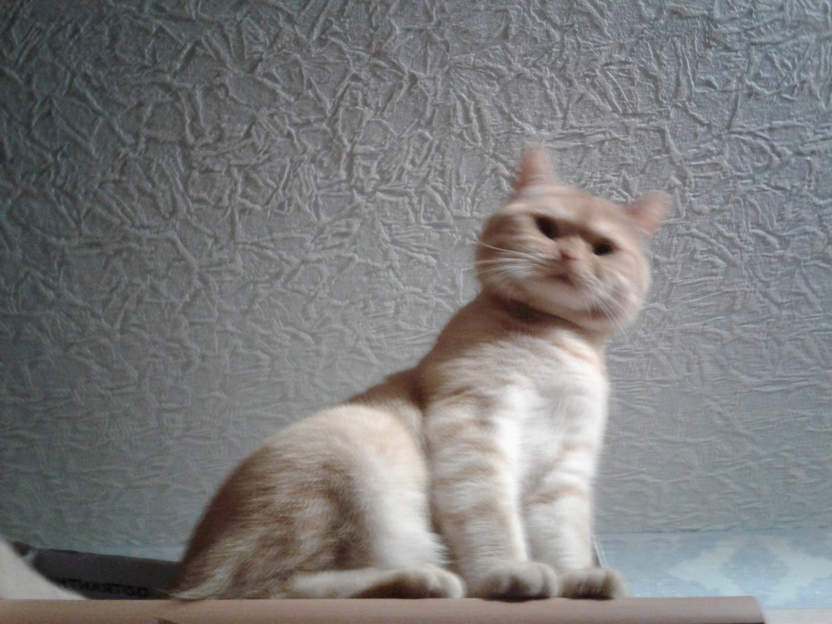 20180914_192703.jpg