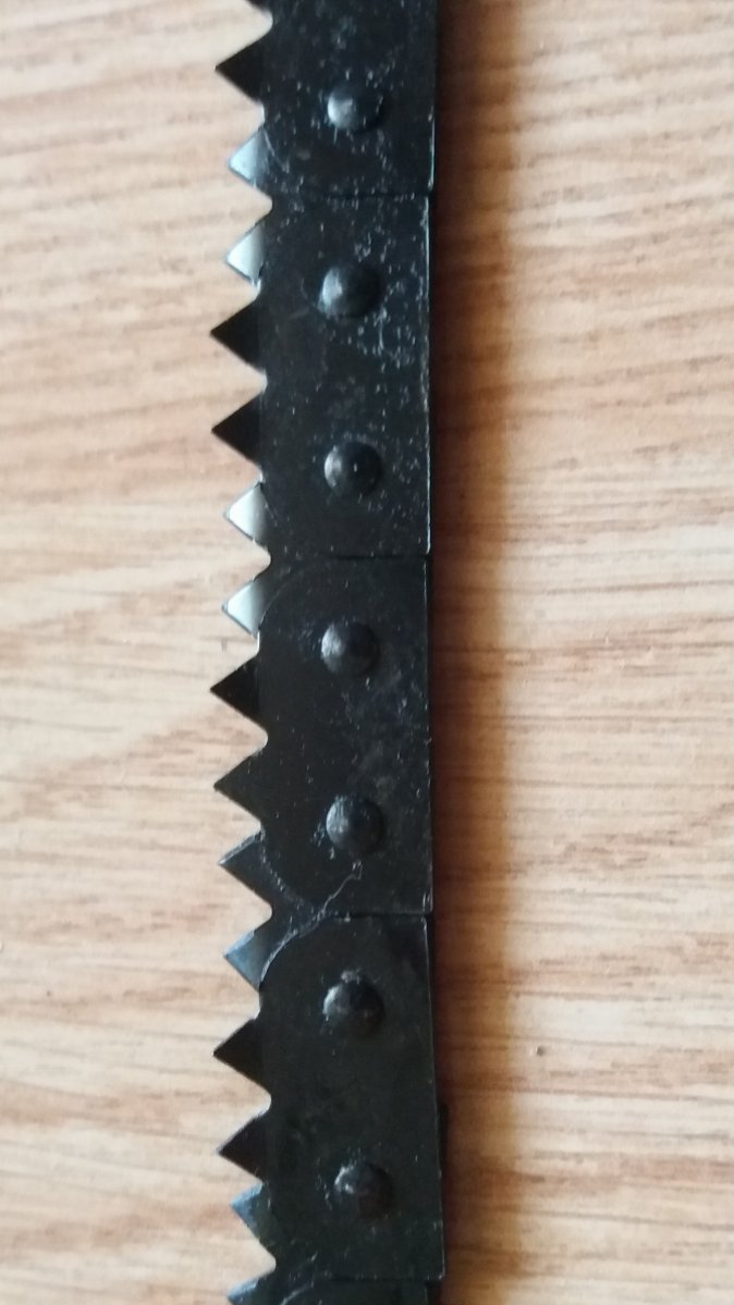 20180921_170251.jpg