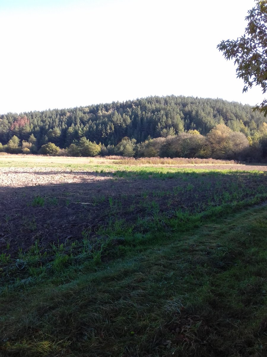 20181006_101402.jpg