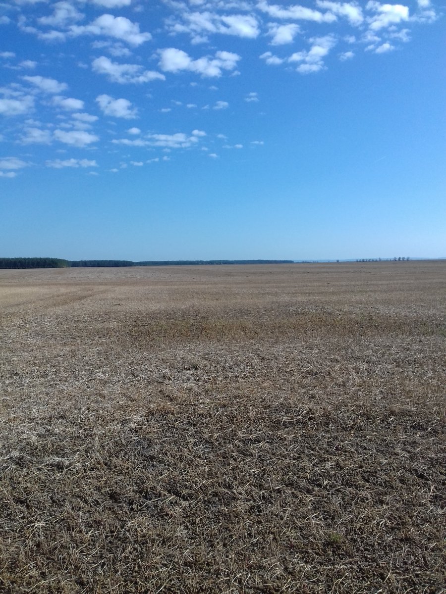 20181007_115409.jpg
