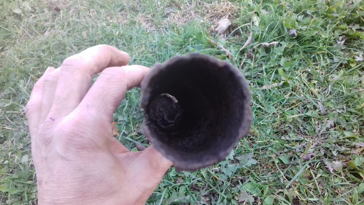 20181013_140445.jpg