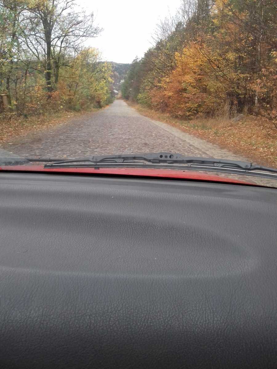 20181024_095348.jpg