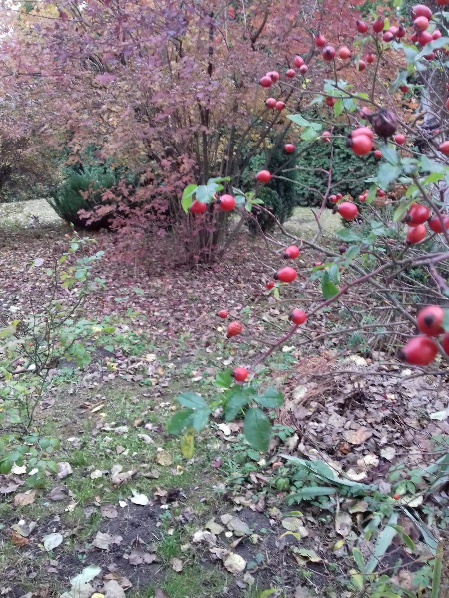 20181027_164014.jpg