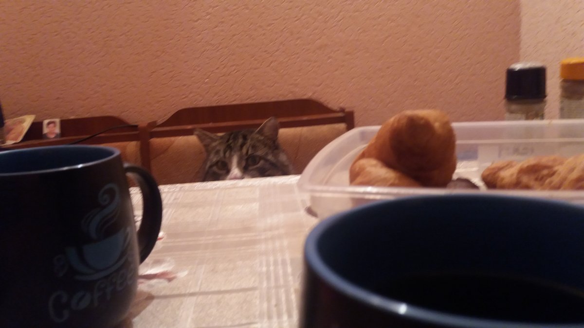 20181214_225016.jpg