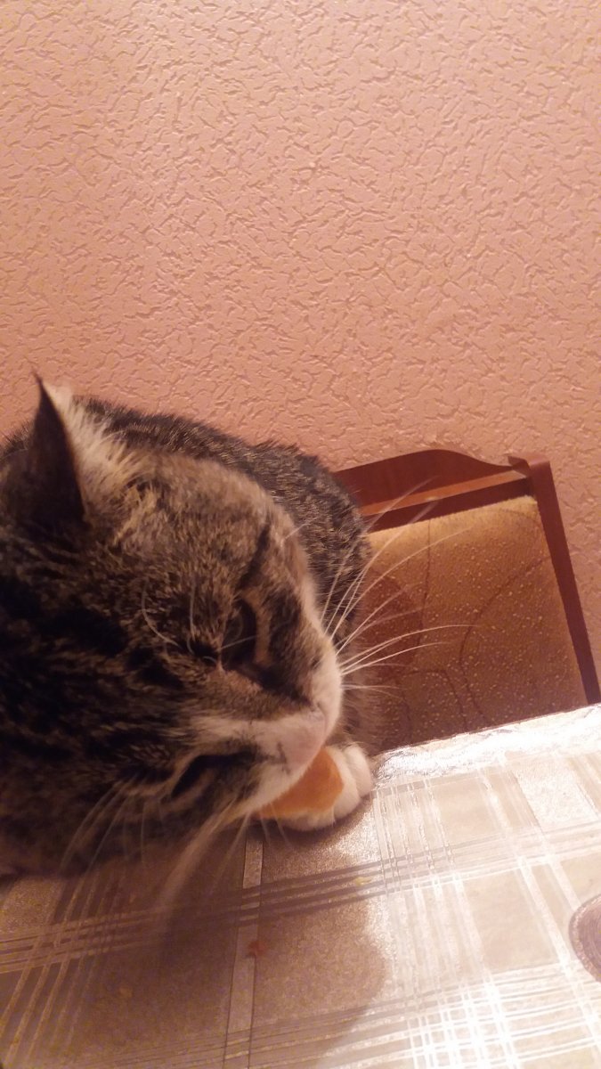 20181214_225116.jpg