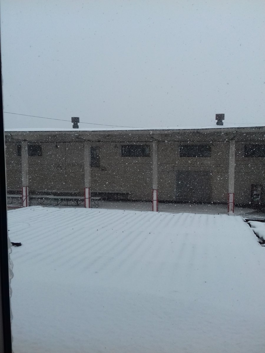 20181217_111542.jpg