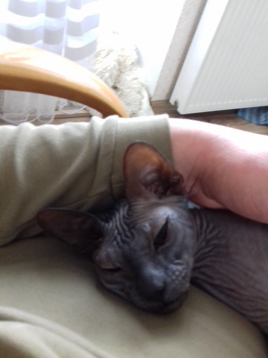 20181218_113325.jpg