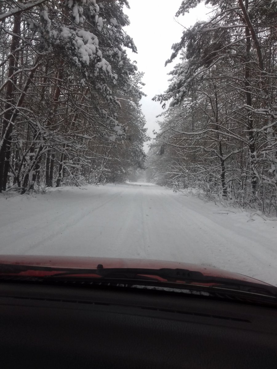 20181218_122846.jpg