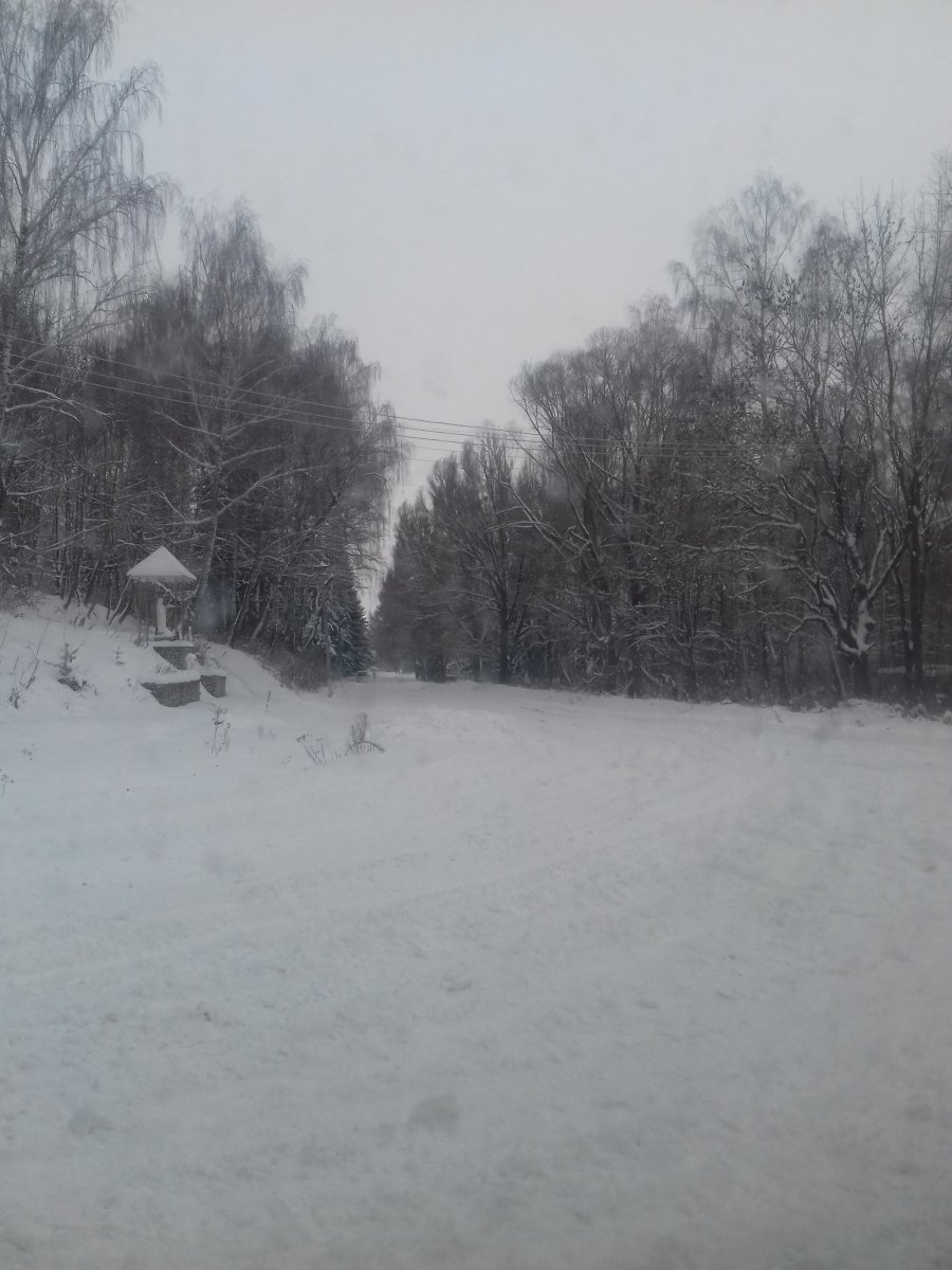 20181219_140111.jpg