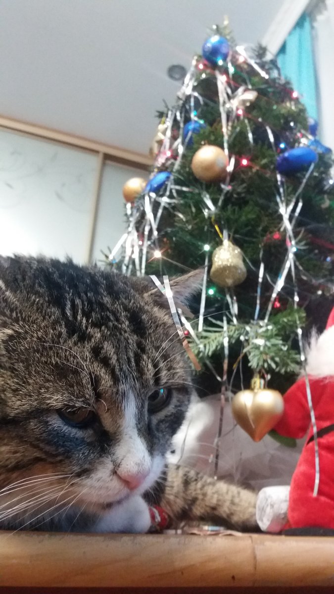 20181229_230951.jpg