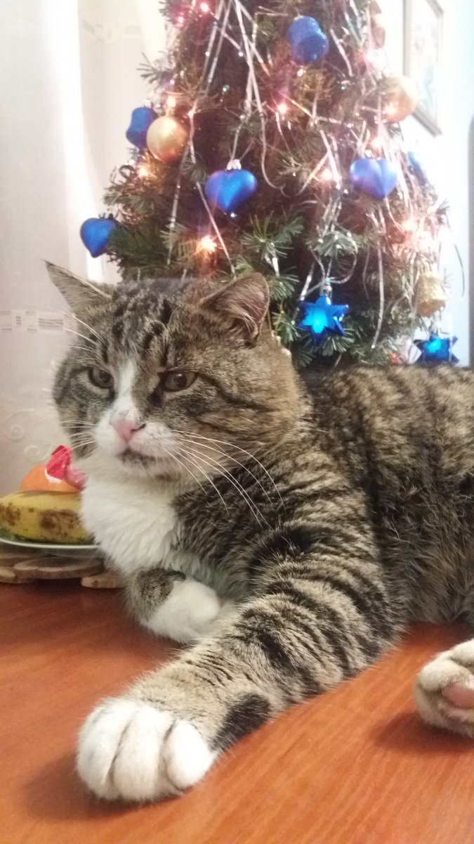20181229_231711.jpg