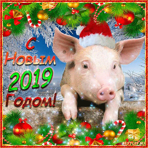 2019.НГ.gif