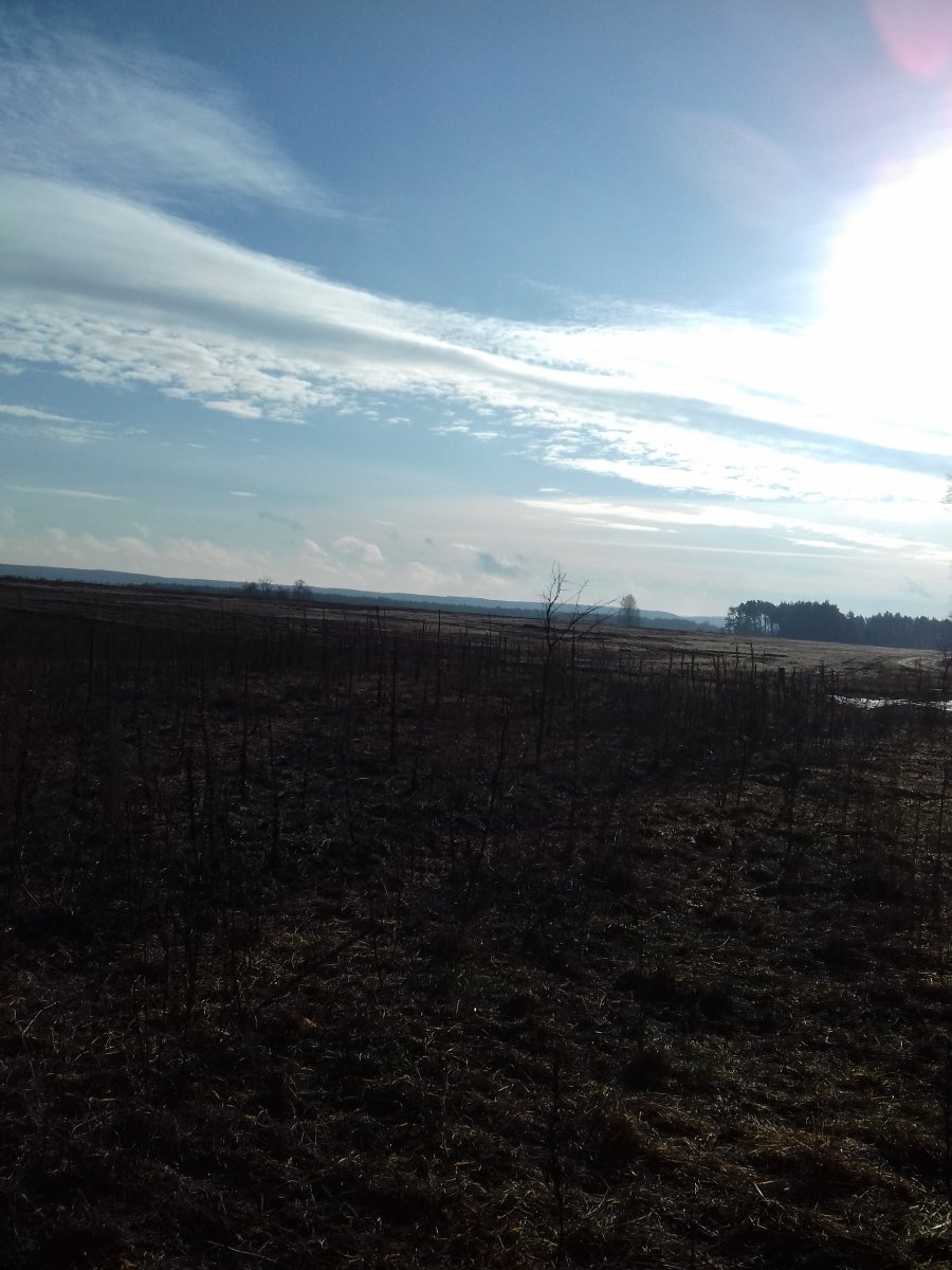 20190101_122110.jpg