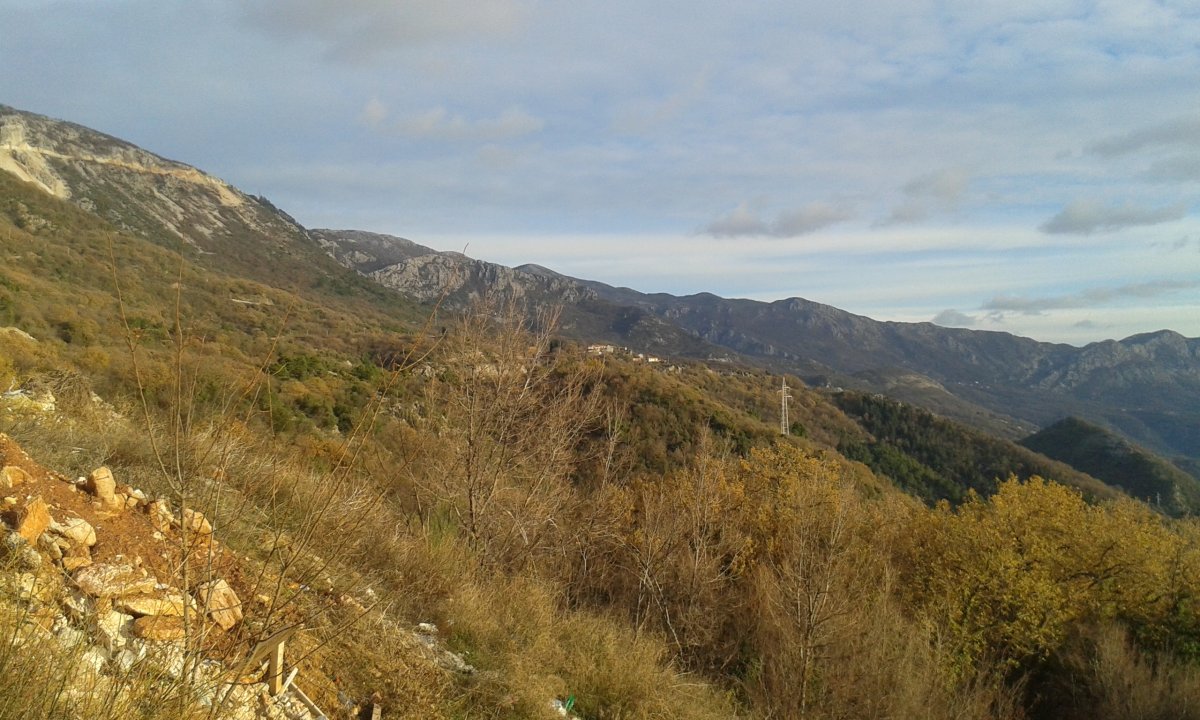 20190105_152603.jpg