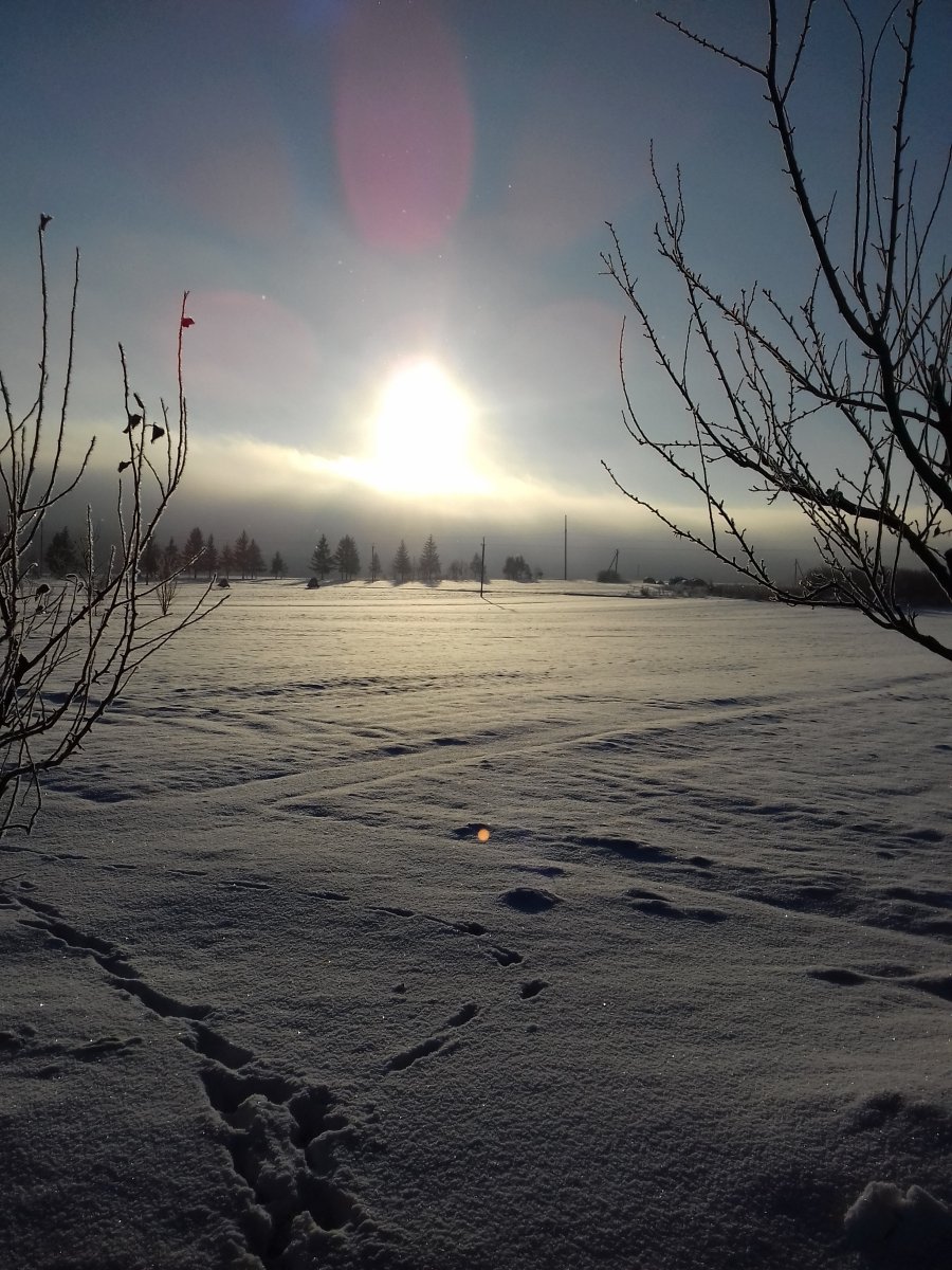 20190108_093852.jpg