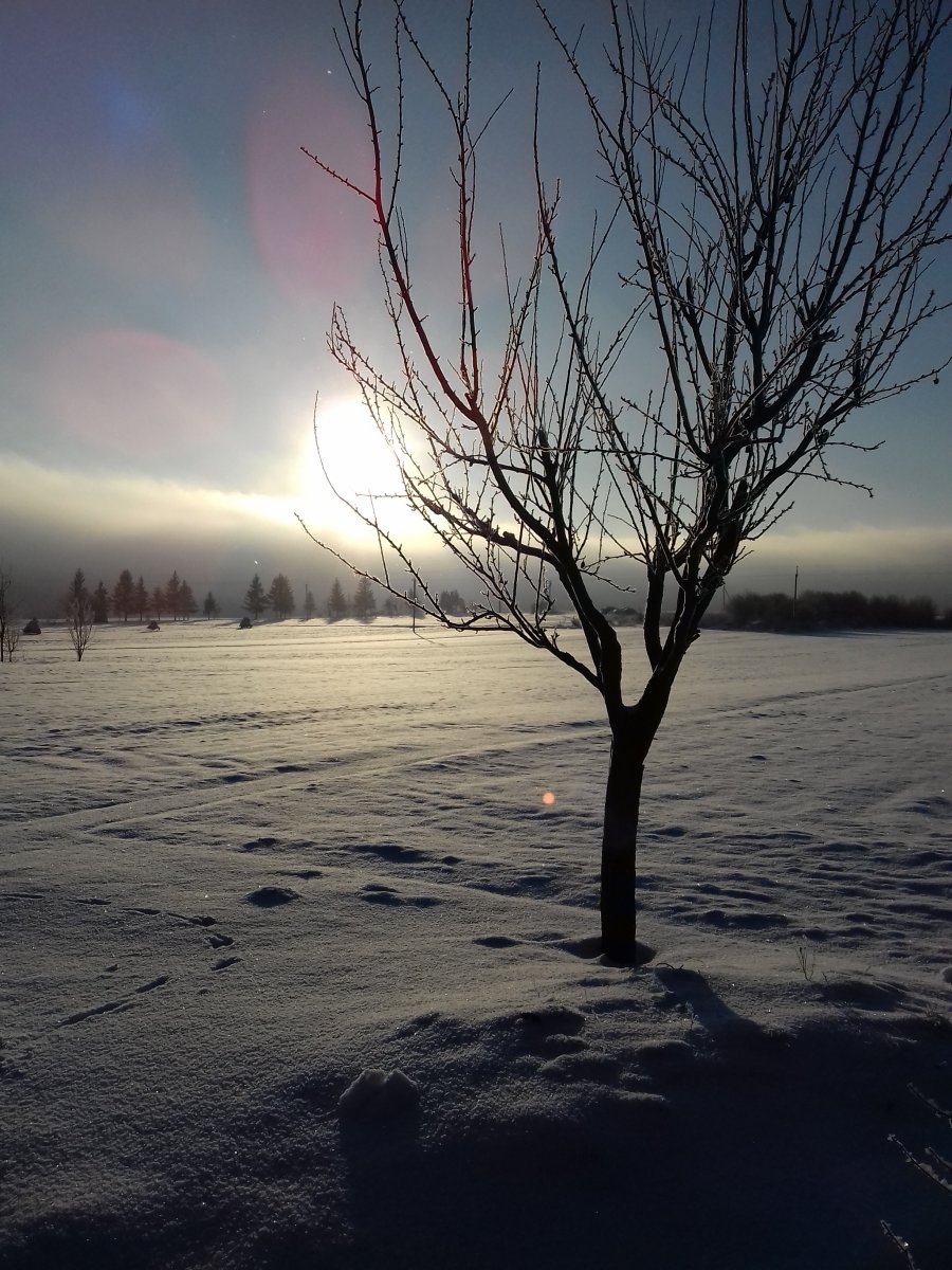 20190108_093901.jpg