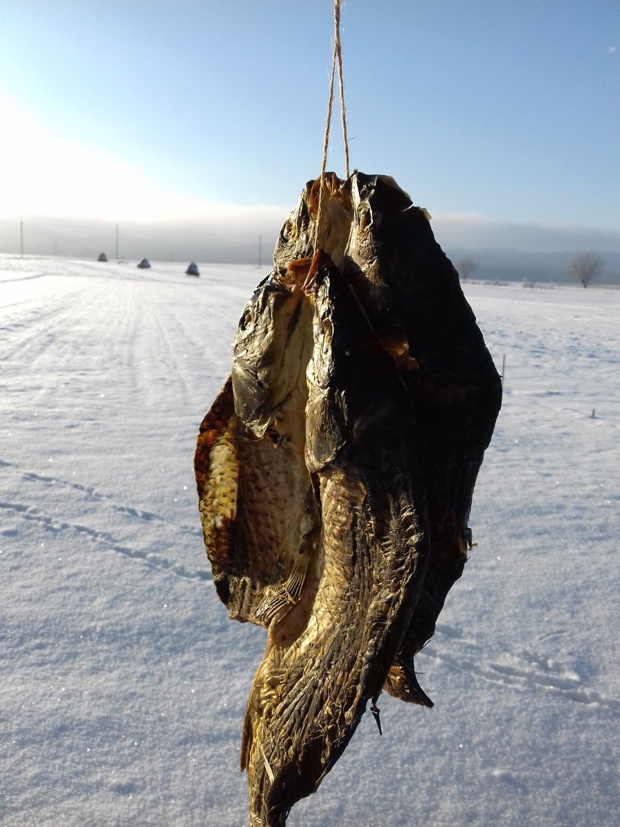 20190108_095242.jpg