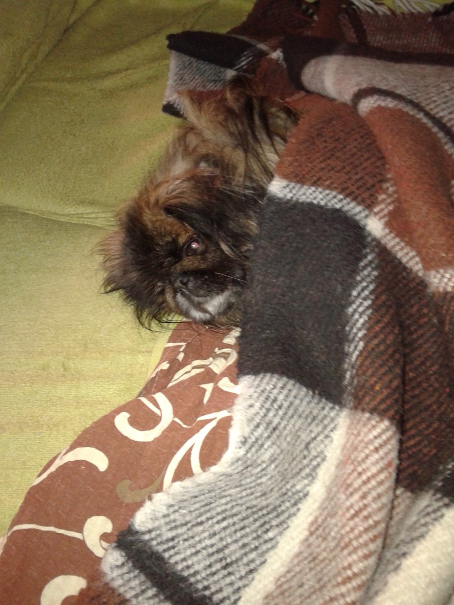 20190116_235159.jpg