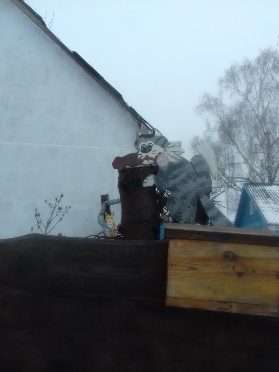 20190131_114638.jpg