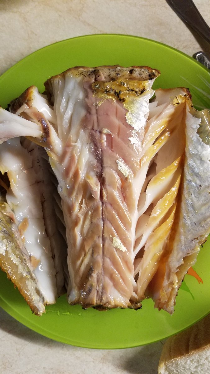 20190318_185449.jpg