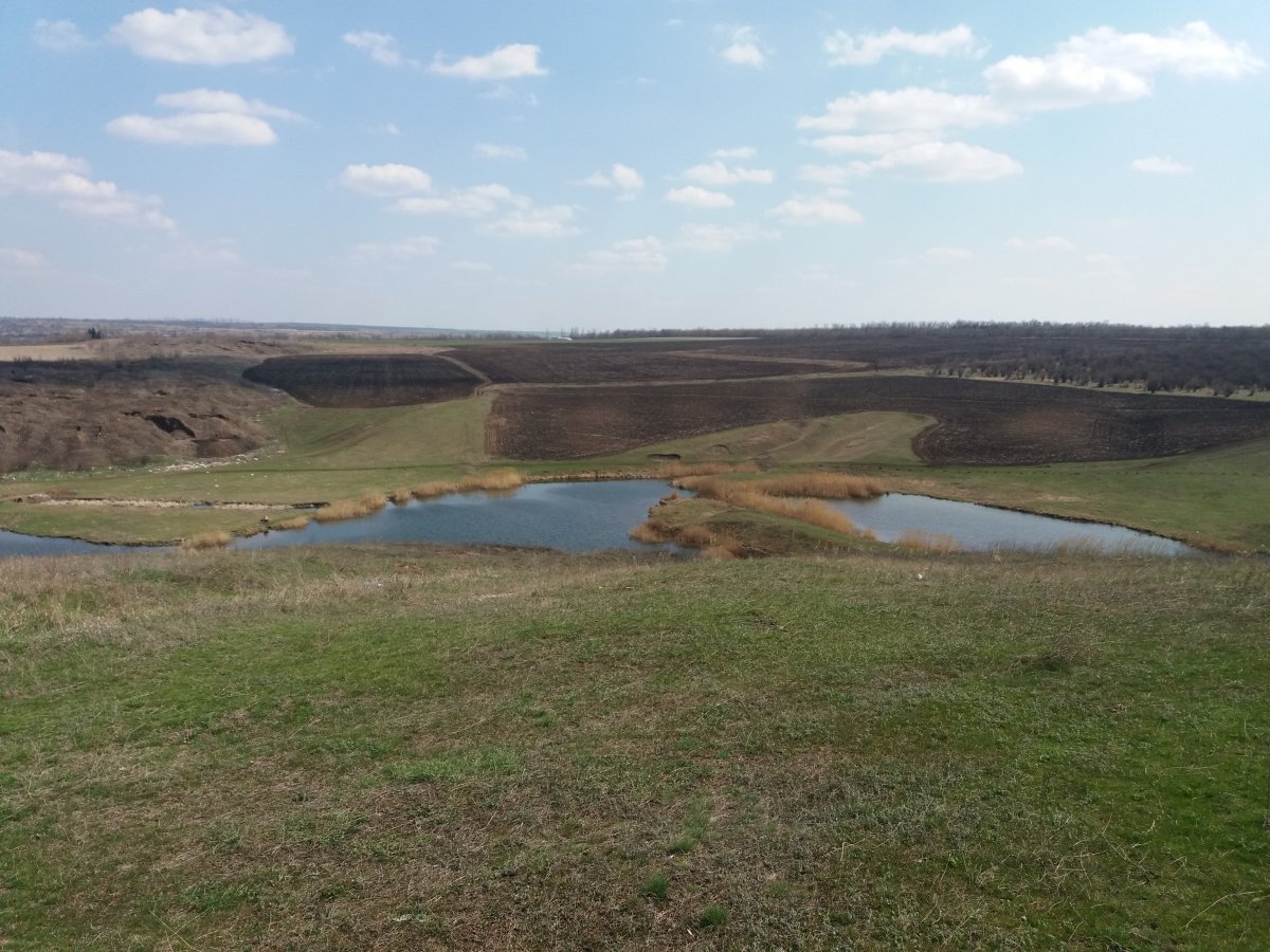 20190407_131626.jpg