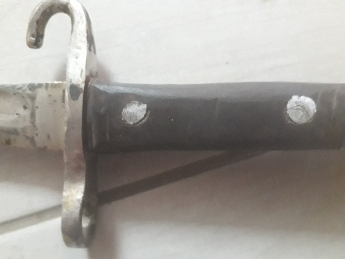 20190421_104415.jpg