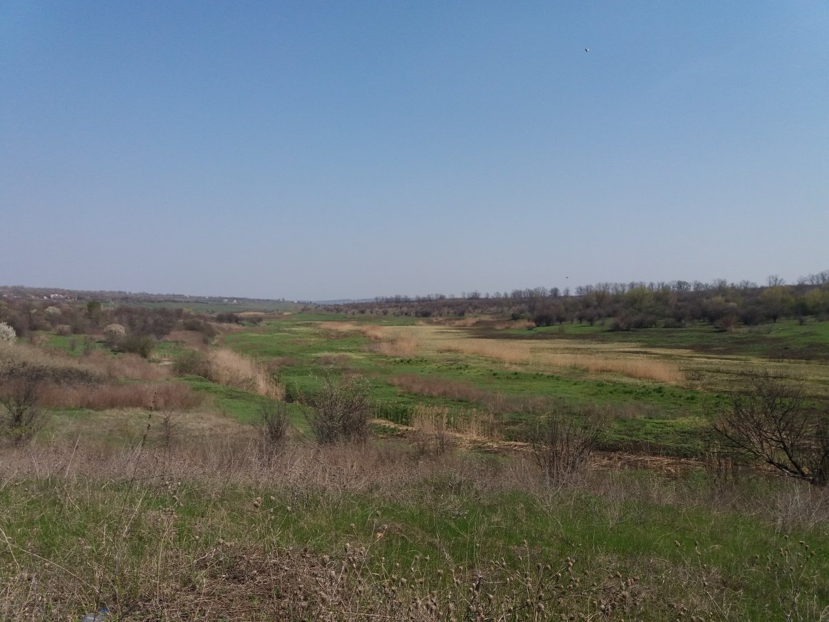 20190423_103409.jpg