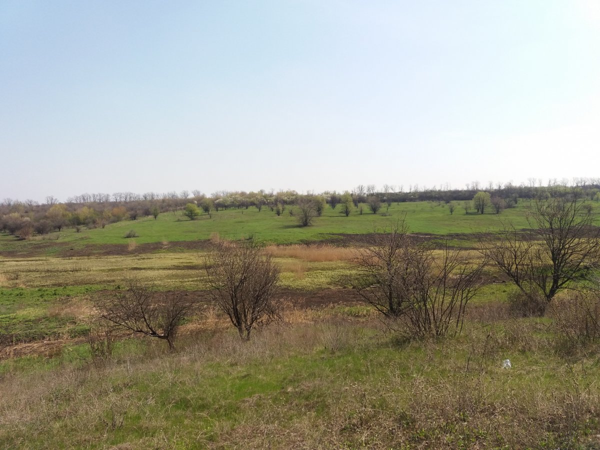 20190423_105729.jpg