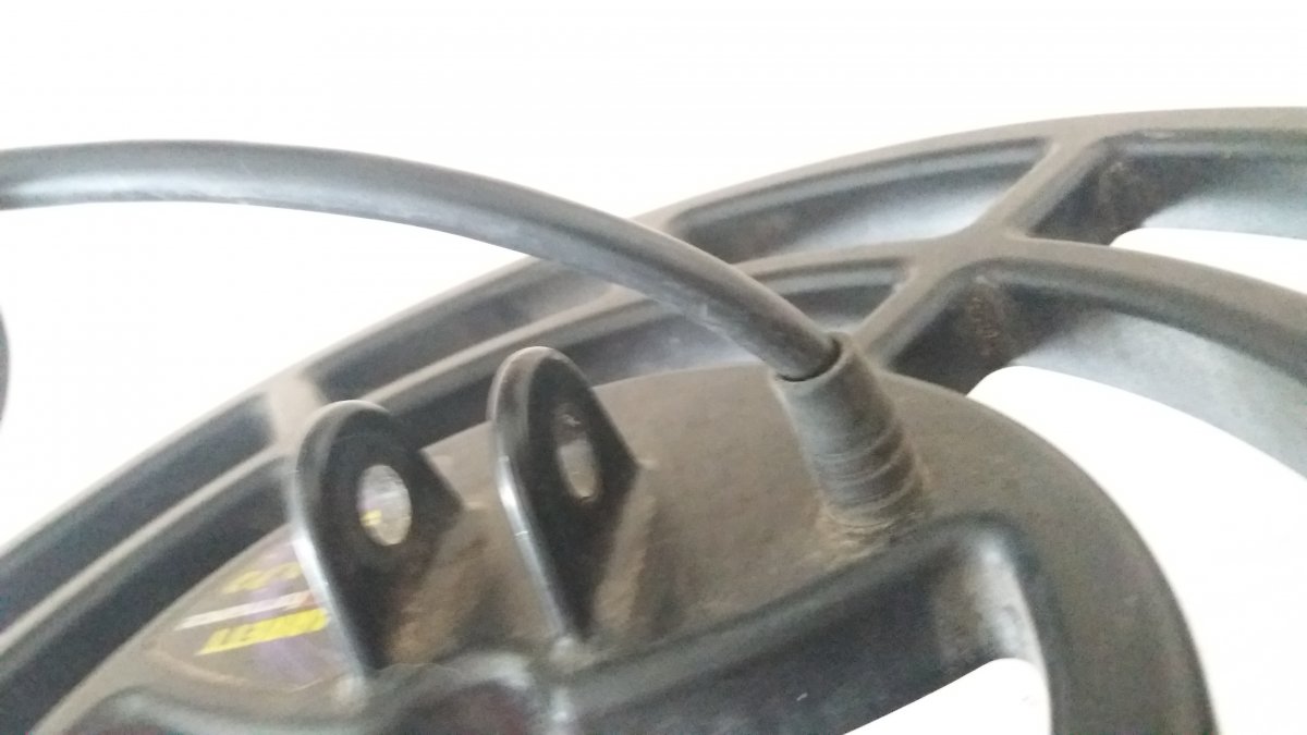 20190428_111908.jpg