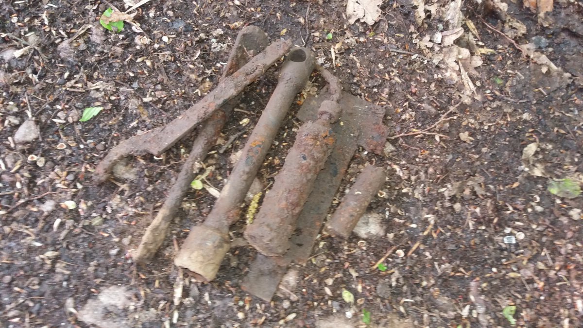 20190503_083639.jpg