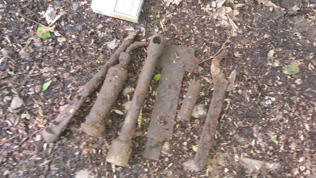 20190503_083747.jpg
