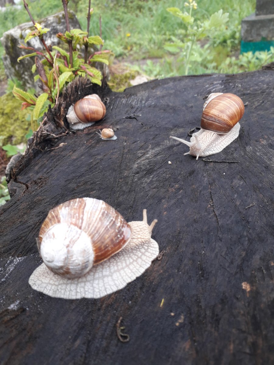 20190505_123130.jpg