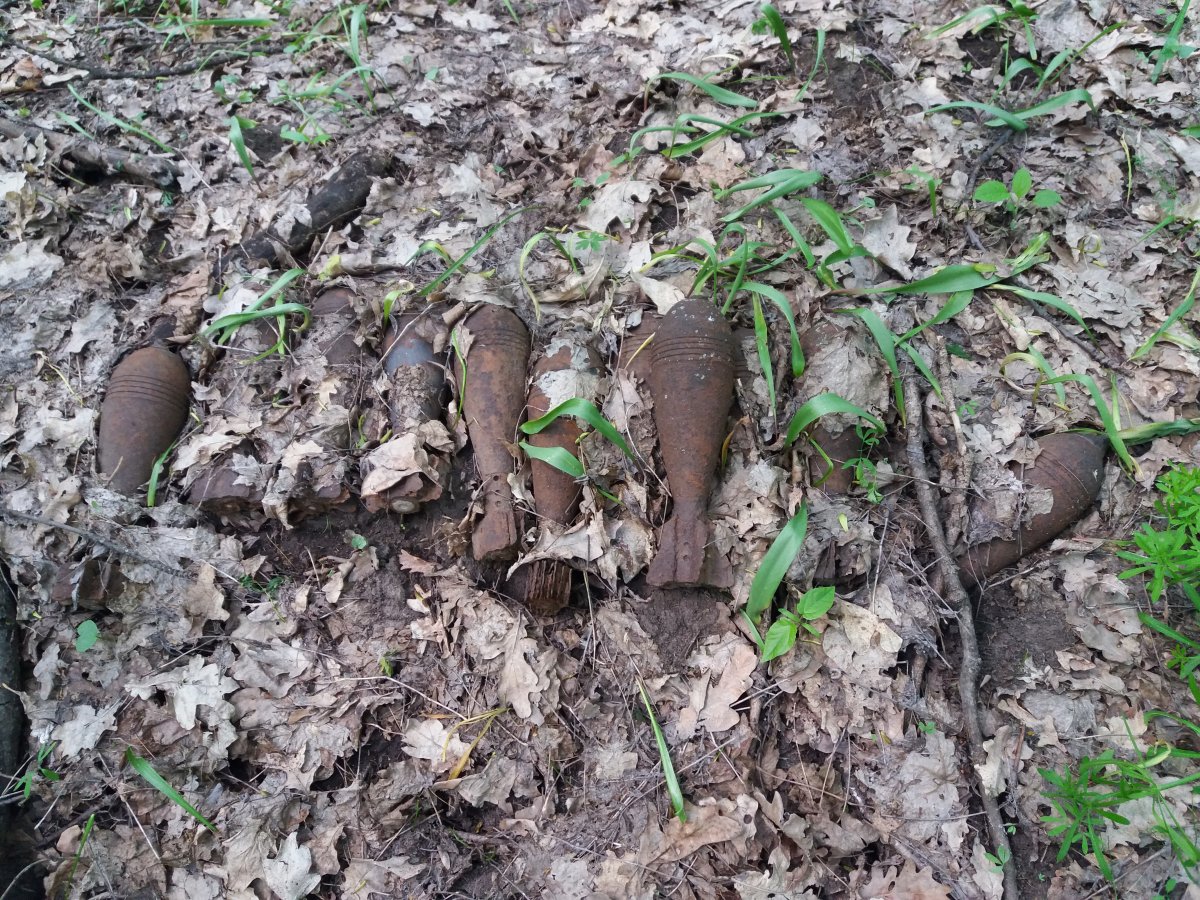 20190505_131215.jpg