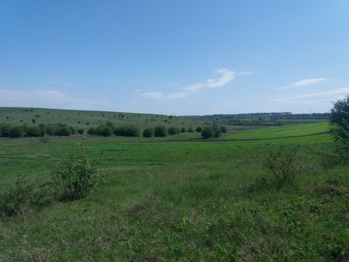 20190507_104904.jpg