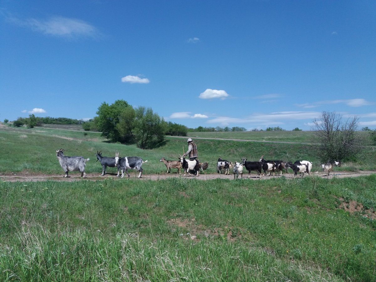 20190507_123146.jpg
