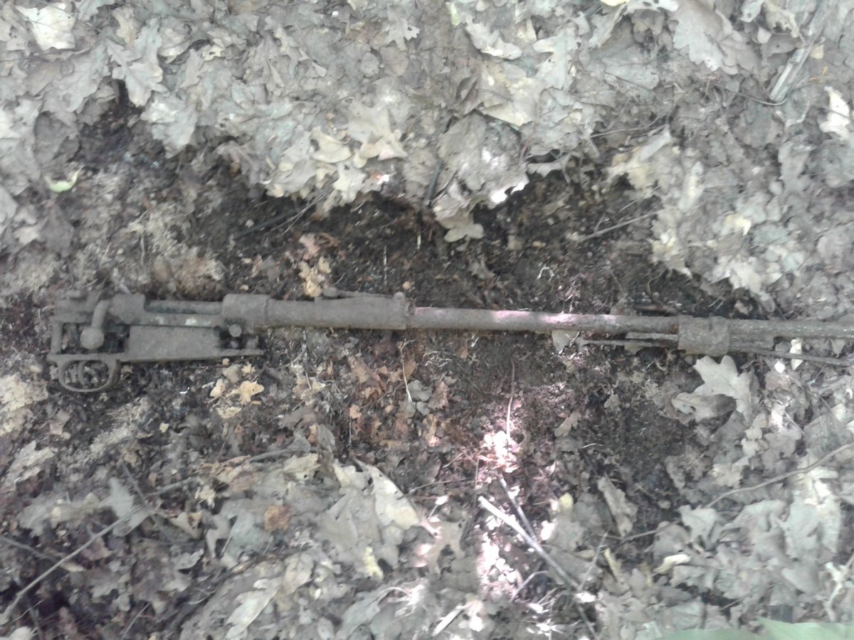 20190529_113144.jpg