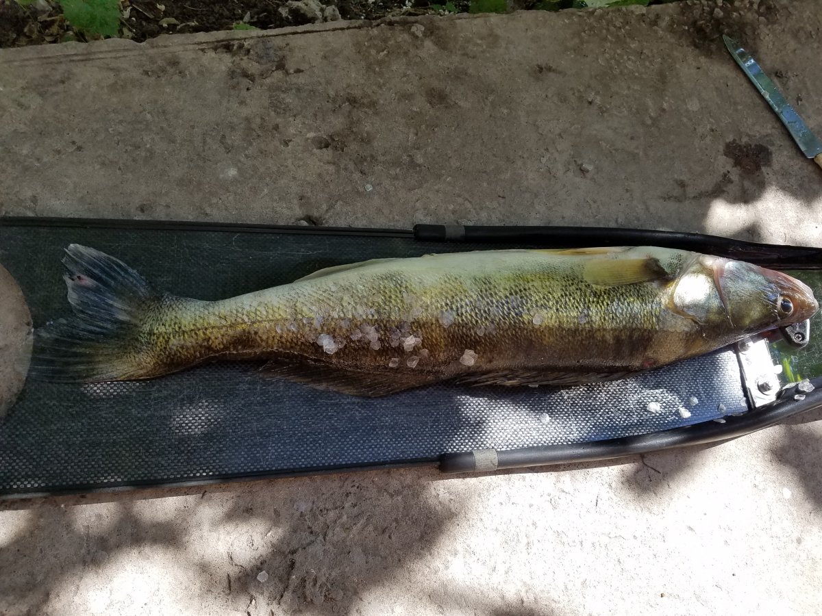 20190620_154523.jpg