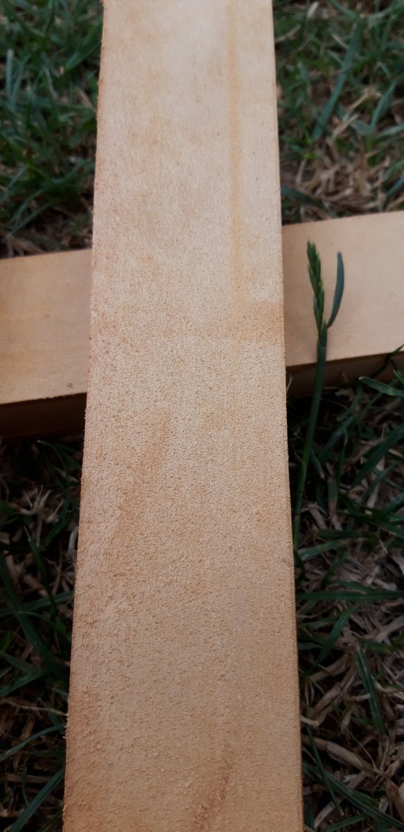 20190625_095203.jpg