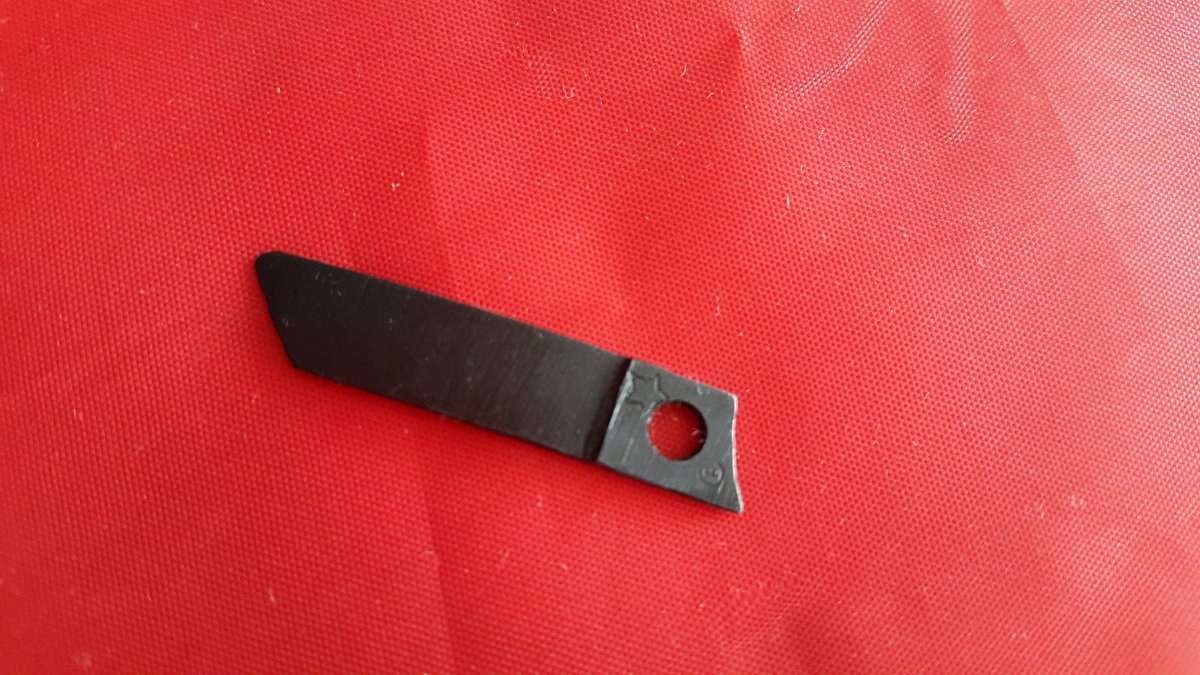 20190705_101021.jpg