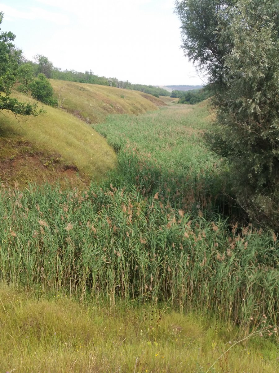 20190717_094757.jpg