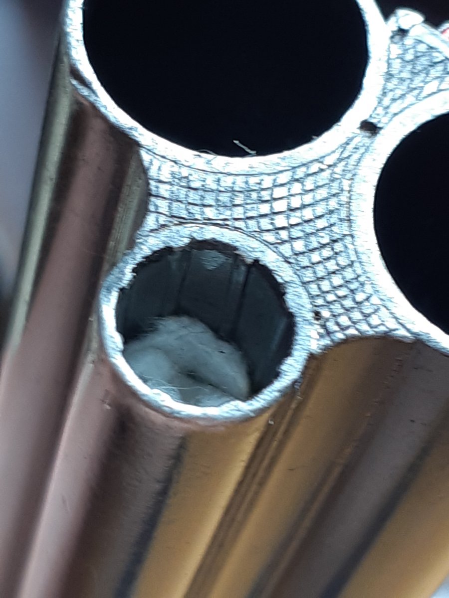20190724_101925.jpg