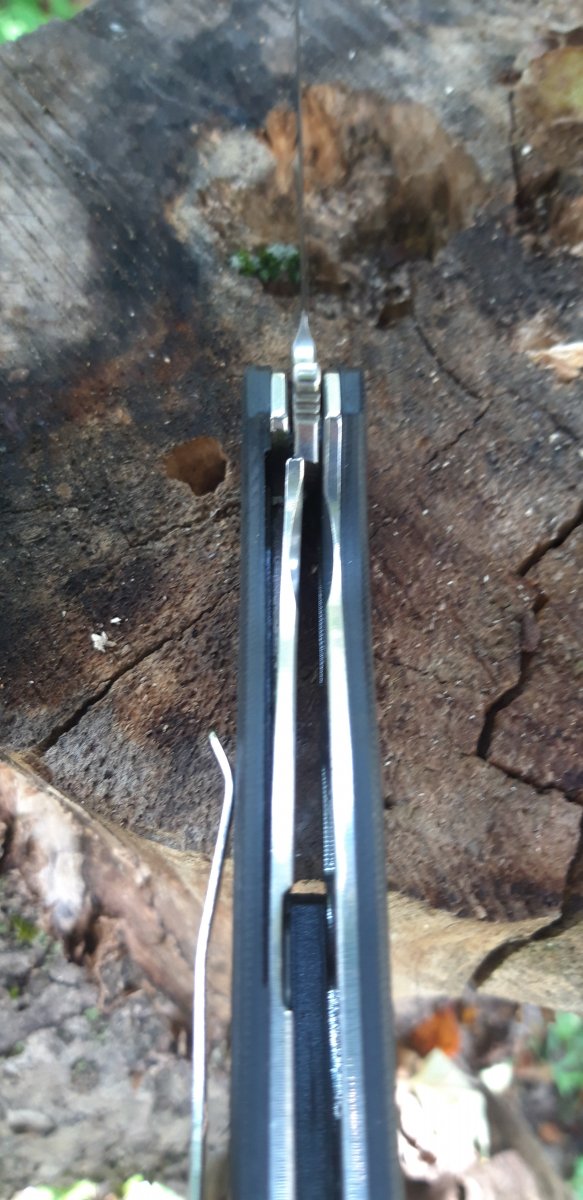 20190724_143527.jpg